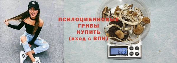 ГАЛЛЮЦИНОГЕННЫЕ ГРИБЫ Лиски