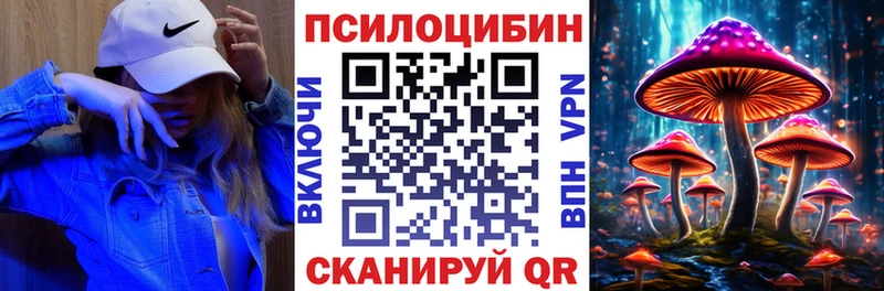 где можно купить   Куртамыш  Псилоцибиновые грибы GOLDEN TEACHER 